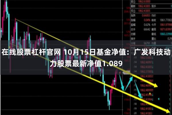 在线股票杠杆官网 10月15日基金净值：广发科技动力股票最新净值1.089